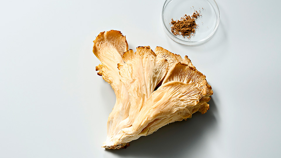 Что представляет собой новый Крем-Антистресс с Экстрактом Грибов?